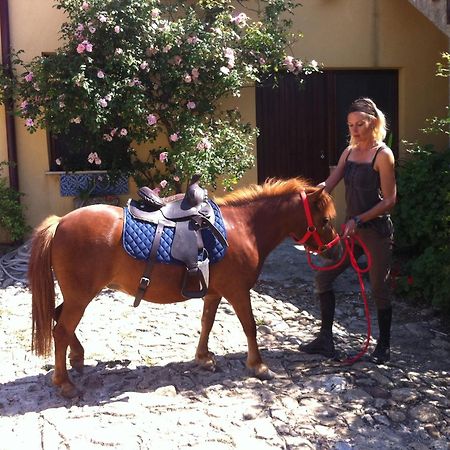 Agriturismo Ridocco Corleone Dış mekan fotoğraf