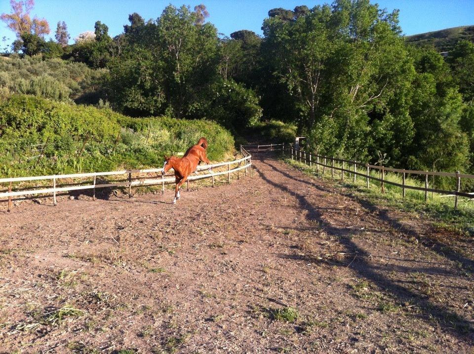 Agriturismo Ridocco Corleone Dış mekan fotoğraf